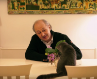 PetPoetryChallenge.png